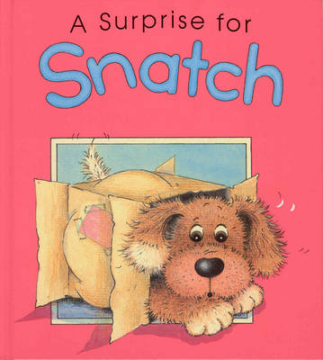 Book cover for A Surprise for Snatch