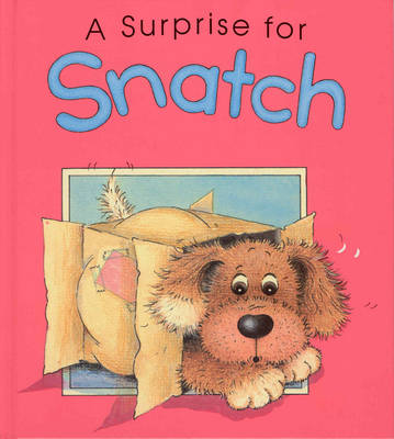 Cover of A Surprise for Snatch