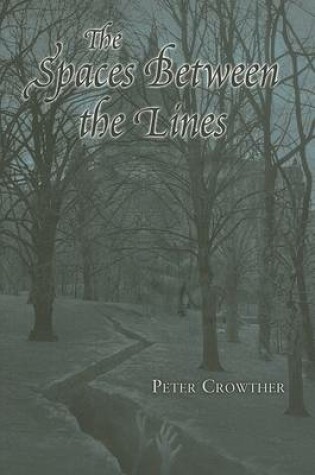 Cover of Spaces Between the Lines