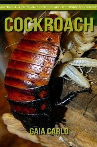 Cover of Cockroach