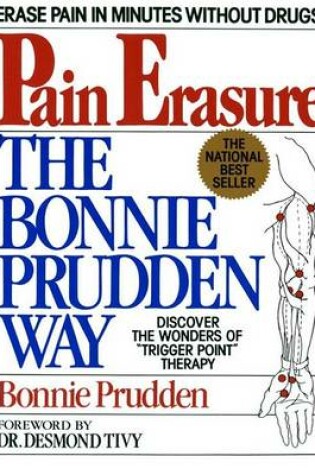 Cover of The Pain Erasure