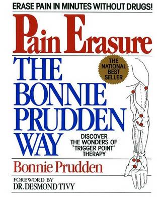 Cover of The Pain Erasure