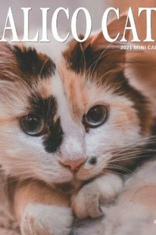 Cover of Calico Cats Calendar