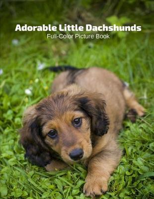 Book cover for Adorable Little Dachshunds Full-Color Picture Book