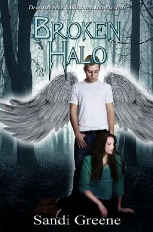 Cover of Broken Halo