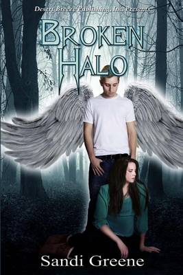 Book cover for Broken Halo