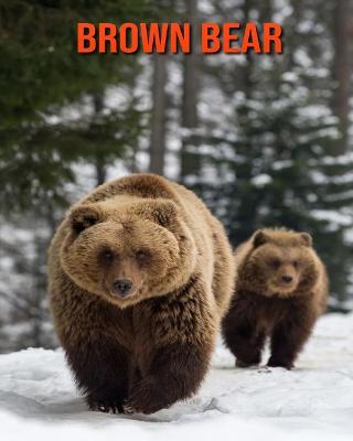 Book cover for Brown Bear