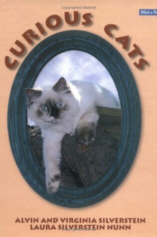 Cover of Curious Cats