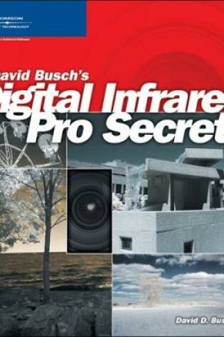 Cover of David Busch's Digital Infrared Pro Secrets