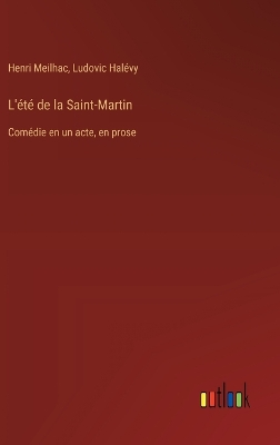 Book cover for L'été de la Saint-Martin