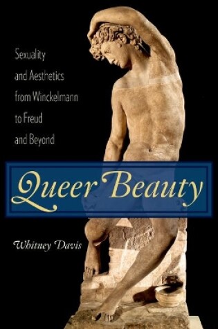 Cover of Queer Beauty