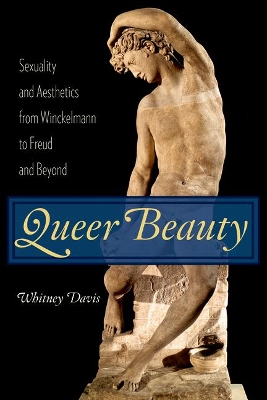 Cover of Queer Beauty