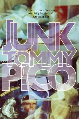 Book cover for Junk