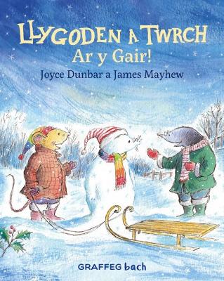 Book cover for Llygoden a Twrch: Ar y Gair!