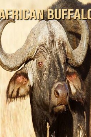 Cover of African buffalo