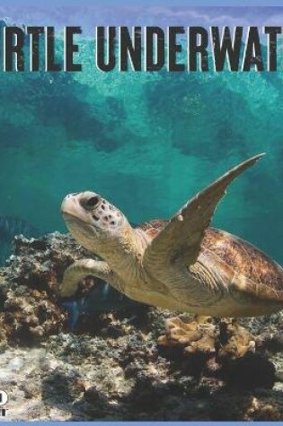Cover of Turtle Underwater 2021 Calendar