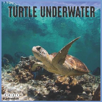 Book cover for Turtle Underwater 2021 Calendar