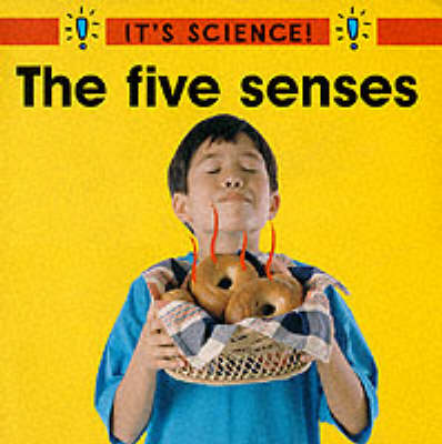 Book cover for The Five Senses