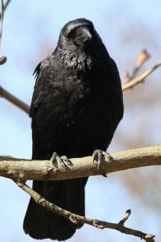 Cover of Raven on a Branch Bird Journal