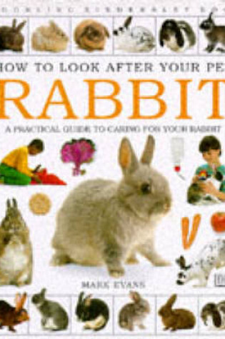 Cover of How To Look After Your Pet:  Rabbit
