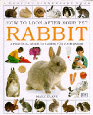 Book cover for How To Look After Your Pet:  Rabbit