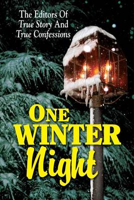 Book cover for One Winter Night