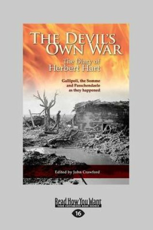Cover of The Devil's Own War