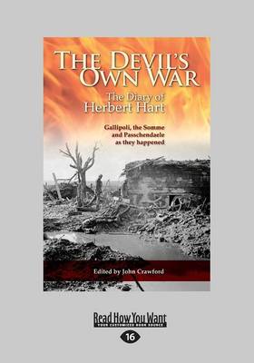 Book cover for The Devil's Own War