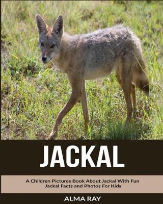 Book cover for Jackal