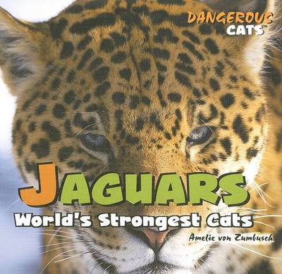 Cover of Jaguars