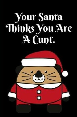 Cover of Your Santa Thinks You Are A Cunt