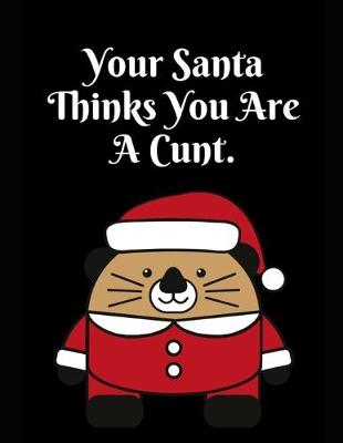 Book cover for Your Santa Thinks You Are A Cunt