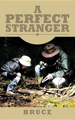 Book cover for A Perfect Stranger