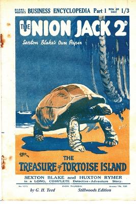 Book cover for The Treasure of Tortoise Island