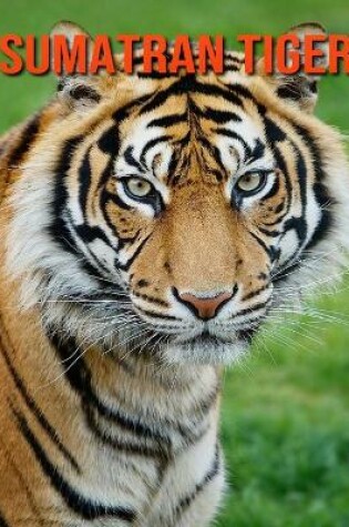 Cover of Sumatran Tiger