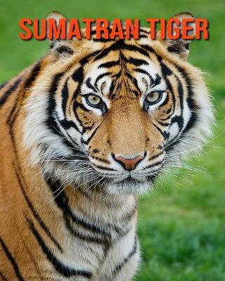 Book cover for Sumatran Tiger