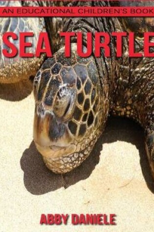 Cover of Sea Turtle! An Educational Children's Book about Sea Turtle with Fun Facts & Photos