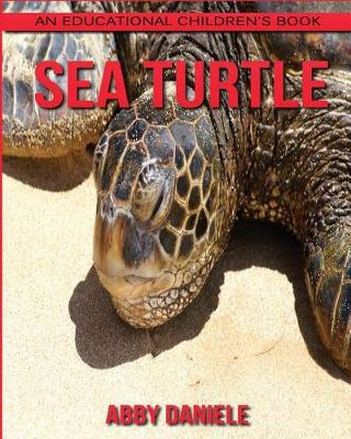 Book cover for Sea Turtle! An Educational Children's Book about Sea Turtle with Fun Facts & Photos