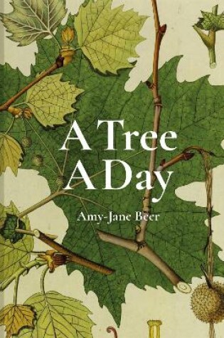 Cover of A Tree A Day