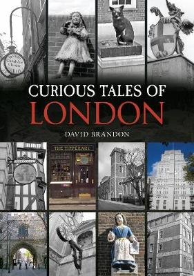 Book cover for Curious Tales of London