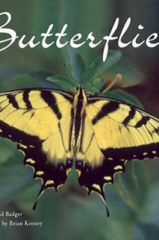 Cover of Butterflies