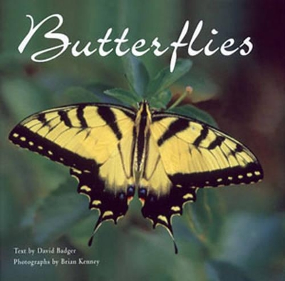 Book cover for Butterflies