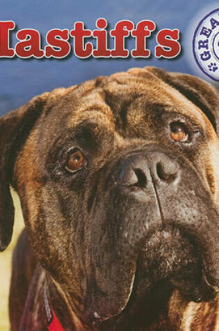 Cover of Mastiffs