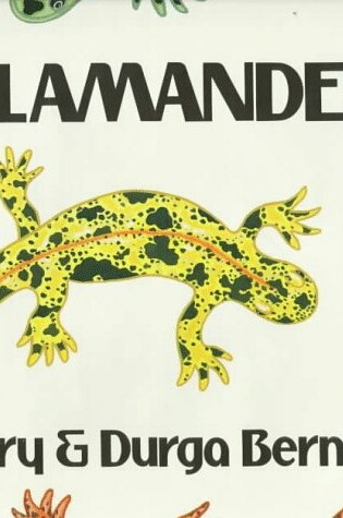 Cover of Salamanders