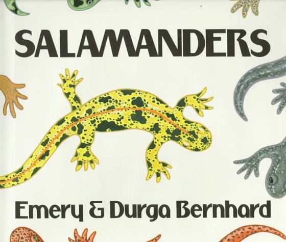 Book cover for Salamanders