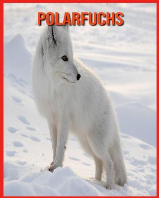 Book cover for Polarfuchs