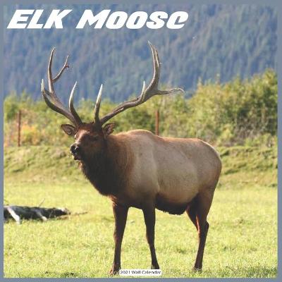 Book cover for ELK Moose 2021 Wall Calendar