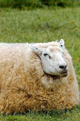 Book cover for This Huge Sheep is a Unit Journal