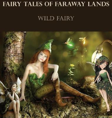 Book cover for Fairy Tales Of Faraway Lands