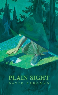 Book cover for Plain Sight